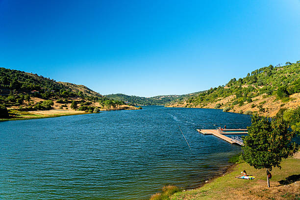 The Mondego Walkways are a series of wooden walkways that form a pedestrian route along the banks of the River Mondego.