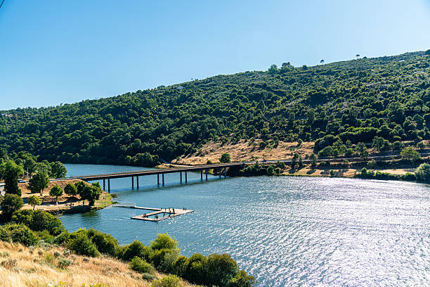 The Mondego Walkways are a series of wooden walkways that form a pedestrian route along the banks of the River Mondego.