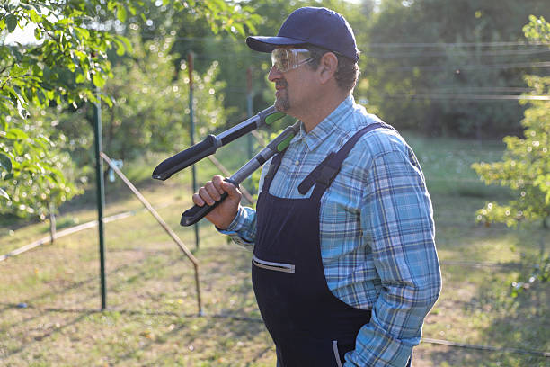 istock Senior Man in Work Overalls, Cap, and Safety Glasses Pruning Tree Branches 2229413766