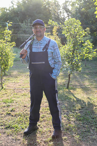 Senior Man in Work Overalls, Cap, and Safety Glasses Uses Large Pruning Shears to Trim Tree Branches. The Scene Captures the Focused Effort of an Older Worker Performing Yard Maintenance. His Protective Gear Highlights the Care Taken During the Pruning Process to Ensure Safety While Handling the Tools.
