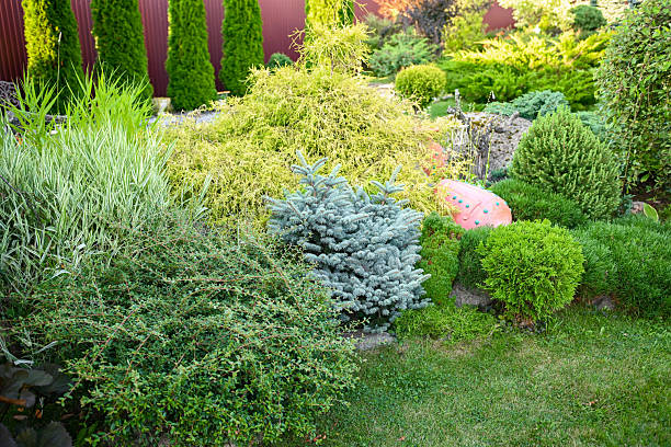 istock country house and garden 2229426311