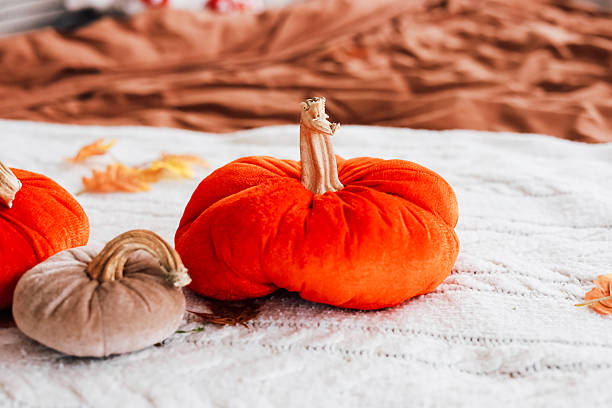 istock Decorative pumpkins on a soft blanket during autumn season in a cozy indoor setting 2229431221