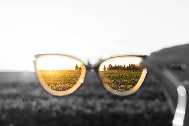 Looking through eyeglasses to summer sunset in agriculture fields. Summer landscape in sunset lights. Selective focus. Shallow depth of field.