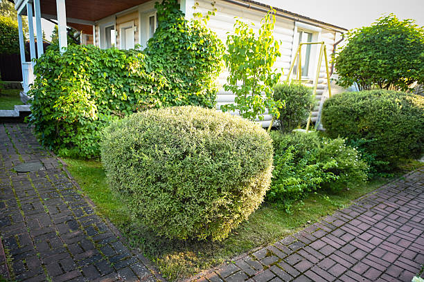 country house and garden