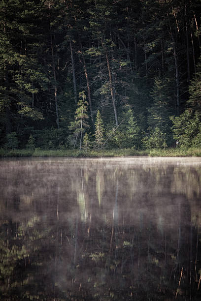 reflection of a super colorful sky in the water of a lake in summer