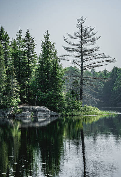 A peaceful natural landscape in Algonquin Provincial Park, Ontario, featuring calm water reflecting surrounding trees. Established in 1893, Algonquin is one of Ontario’s oldest provincial parks, renowned for canoeing, hiking, and wildlife viewing. The park is home to diverse species including moose, black bears, and wolves, and offers cabins and accommodations for visitors seeking an immersive wilderness experience.