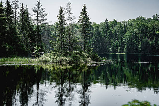 A peaceful natural landscape in Algonquin Provincial Park, Ontario, featuring calm water reflecting surrounding trees. Established in 1893, Algonquin is one of Ontario’s oldest provincial parks, renowned for canoeing, hiking, and wildlife viewing. The park is home to diverse species including moose, black bears, and wolves, and offers cabins and accommodations for visitors seeking an immersive wilderness experience.
