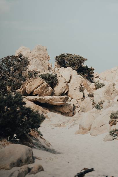 A serene desert landscape featuring rocky formations and sparse vegetation under a clear sky.