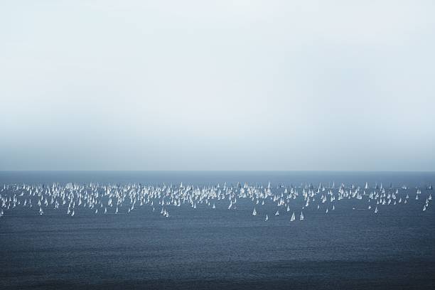 A vast sea filled with numerous sailboats under a clear blue sky, showcasing a serene maritime scene.