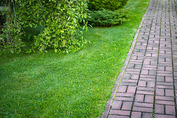 Curved garden path on the green lawn