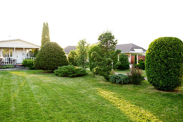 country house and garden