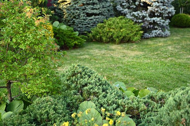 istock country house and garden 2229444398