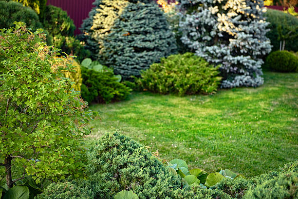 istock country house and garden 2229444613