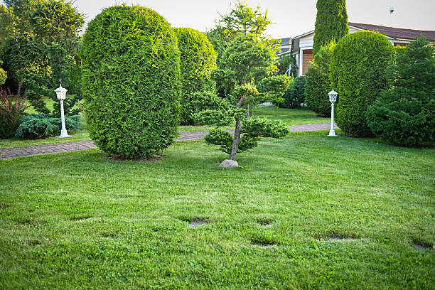 istock country house and garden 2229445103