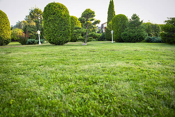 country house and garden