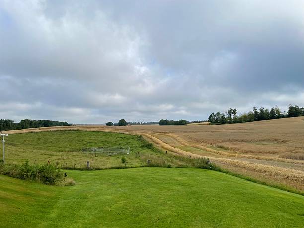istock Serene rural landscape with green fields and wheat. 2229448393
