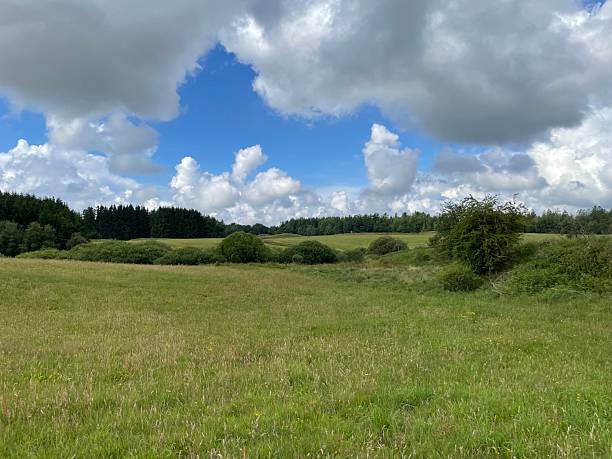 istock Scenic view of a lush green meadow. 2229448411