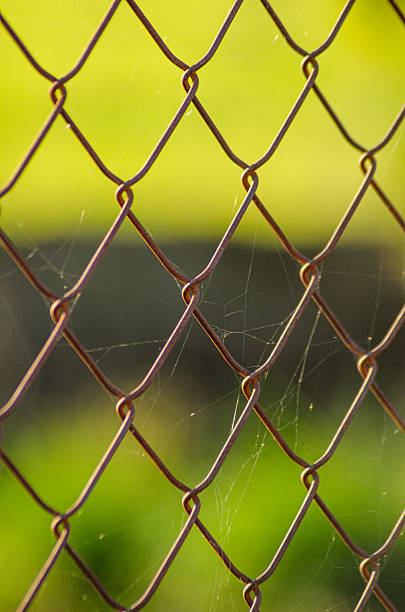 istock The texture of rust and time on a chainlink fence with a spider web passing of time concept 2229452801