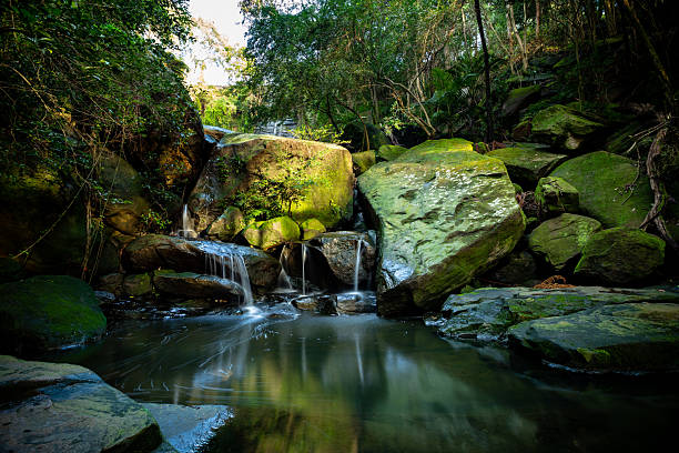 A picturesque waterfall tumbles gently over weathered sandstone, surrounded by dense green foliage in a vibrant forest setting. The scene captures the tranquility and natural beauty of a hidden woodland stream