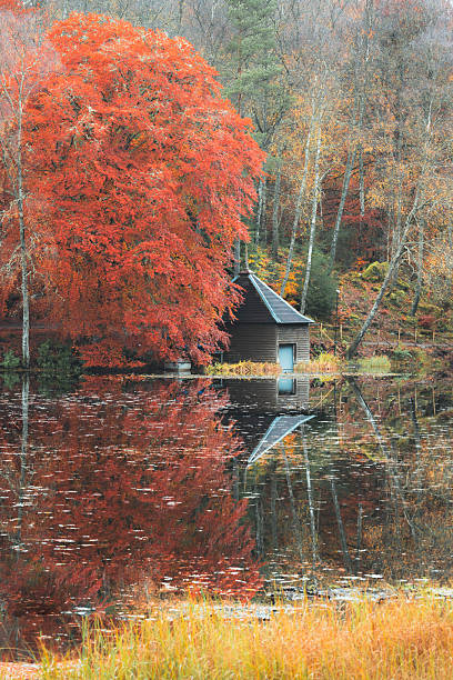 istock Loch Dunmore, Scotland 2229458757