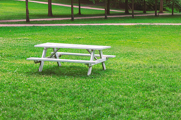 istock Solitary white picnic table sits on green grass 2229459620