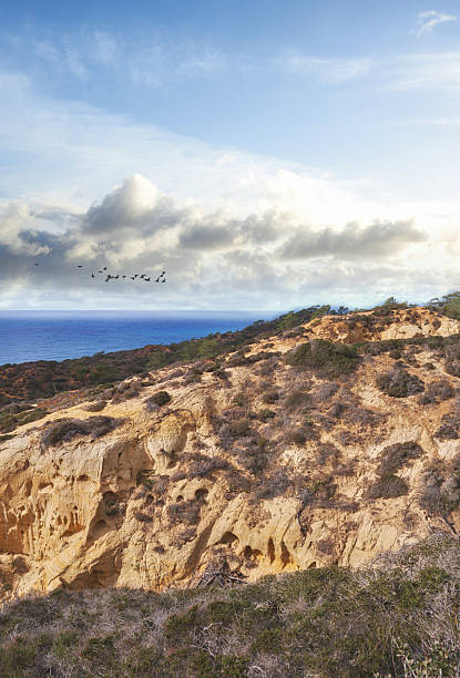 Golden coastal cliffs adorned with native shrubs and plants rise majestically beside the blue expanse of the Pacific Ocean, with a tranquil sky above, exemplifying California's coastal natural beauty and serene landscapes.