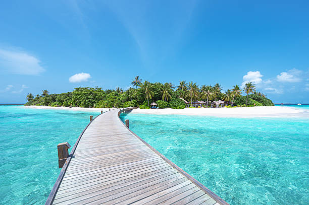 istock Overwater footbridge into tropical paradise island 2229461826