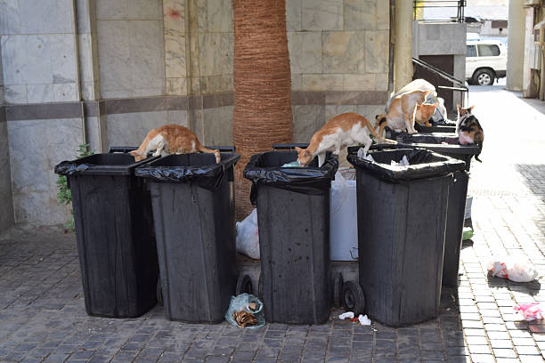 The trash cans in the park