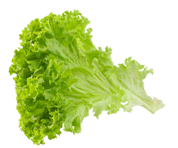 istock fresh green lettuce isolated on white background 2229464352