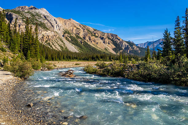 istock Turquoise glacial river flowing through a valley in Banff National Park 2229466838