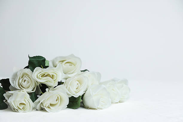 istock White elegant rose bouquet on white background 2229469768