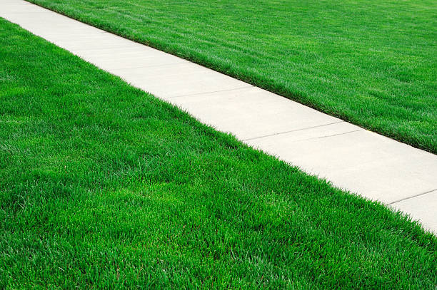 istock straight pathway in the green meadow 2229471442