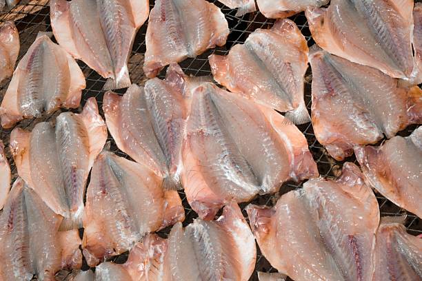 Fresh fish fillets arranged on wire mesh for sun-drying, a traditional preservation method that enhances flavor and retains nutrients, creating a delicious and nutritious food source.