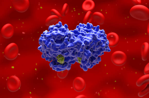 istock Aspirin bound to COX-2 enzyme - closeup view 3d illustration 2229489480