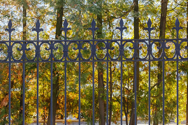 istock Decorative wrought iron fence with autumn trees 2229489982