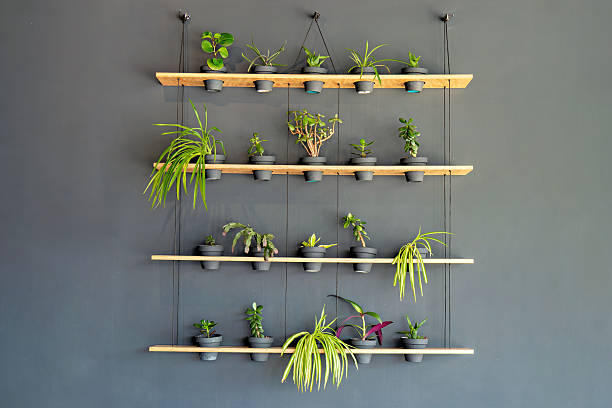 istock A wall mounted planter with several potted plants on it 2229494246