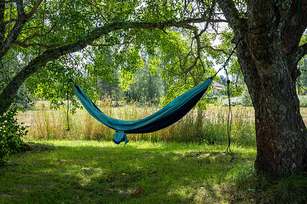 istock Relaxing Hammock Underneath Two Large Trees Outdoors 2229496637