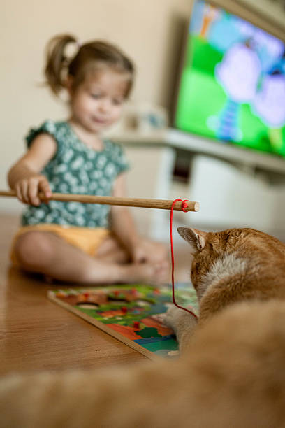 istock Little Girl Playing with Cat at Home 2229500730