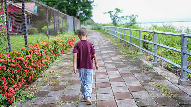 Young boy walks along serene pathway lined with vibrant flowers, showcasing peaceful outdoor scene. boy casual attire and bare feet suggest relaxed atmosphere, inviting sense of tranquility