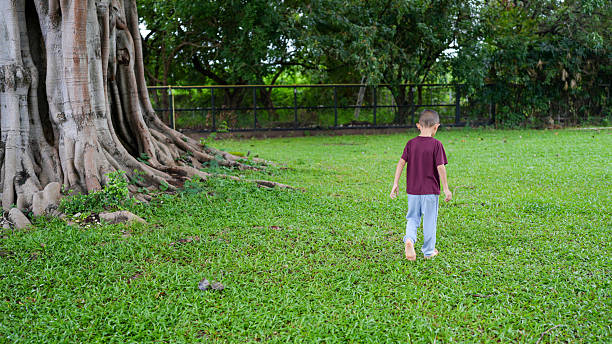 Child walks through lush green field, with large tree in background. scene captures sense of exploration and tranquility in nature