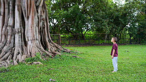 istock Child stands in awe before large tree, its massive roots sprawling across green grass. scene captures moment of wonder and connection with nature, highlighting beauty of environment 2229501914