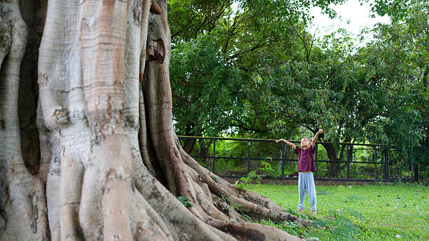 istock Child stands in awe beside large tree, showcasing its impressive roots and trunk. lush greenery surrounds them, creating serene and peaceful atmosphere 2229501935