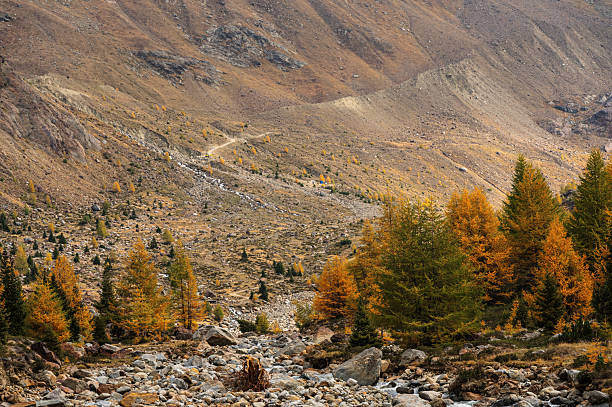 istock alpine landscape inside the Stelvio National Park, Sondrio, Italy 2229512749