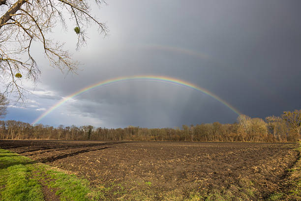 Beautiful rainbow appearing over a freshly plowed field with dark clouds and bare trees in the background