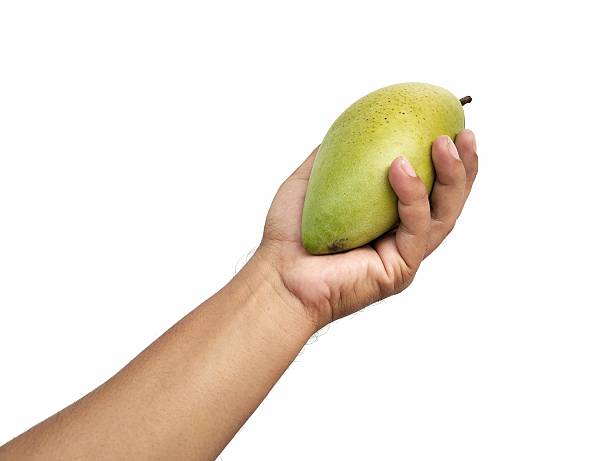 istock Man hand holding a fresh mango isolated on white background 2229513799