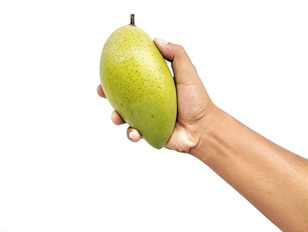 istock Man hand holding a fresh mango isolated on white background 2229513828