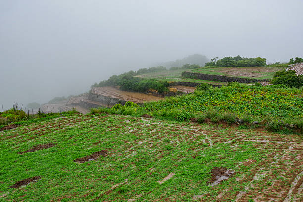 istock Minami-Kushiyama terraced fields on the Shimabara Peninsula 2229514159