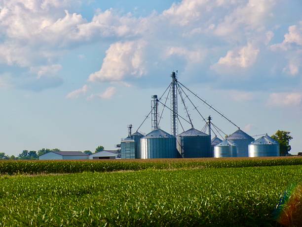 istock Farm with multiple silos with blue sky and white clouds. 2229517614