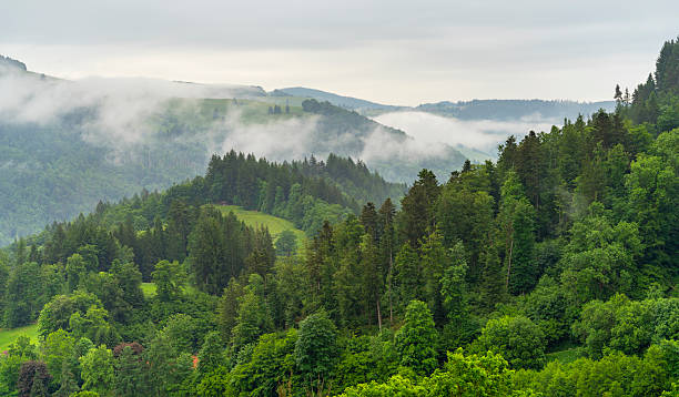 istock Around Schoenau in the Black Forest 2229521280