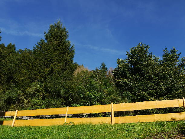 Yellow wooden fence separates a field from a forest. The fence is surrounded by trees and the sky is clear and blue